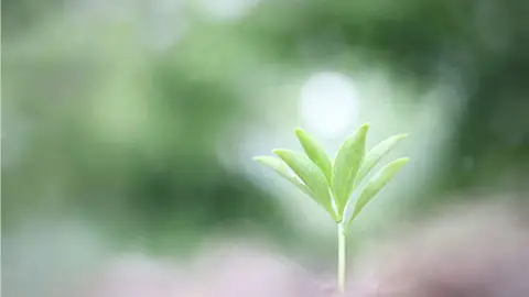 オフィスでの基本マナー