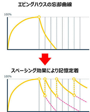 エビングハウスの忘却曲線　→　スペーシング効果により記憶定着